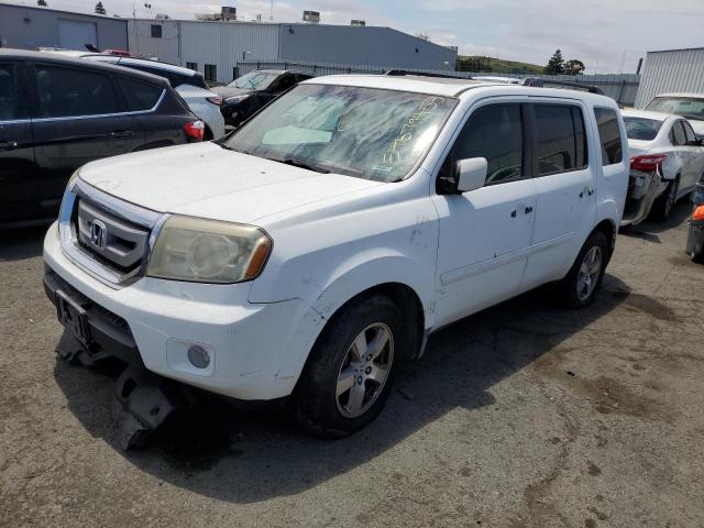 HONDA PILOT EXL 2009 with VIN 5FNYF48539B051368 - Photo from auction