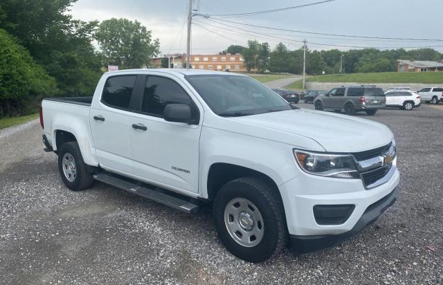 CHEVROLET COLORADO 2016 with VIN 1GCGSBE37G1237791 - Photo from auction