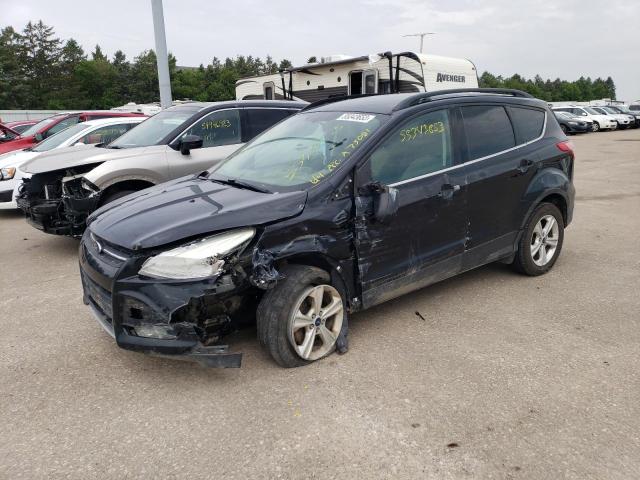 FORD ESCAPE SE 2014 with VIN 1FMCU0GX3EUA75081 - Photo from auction