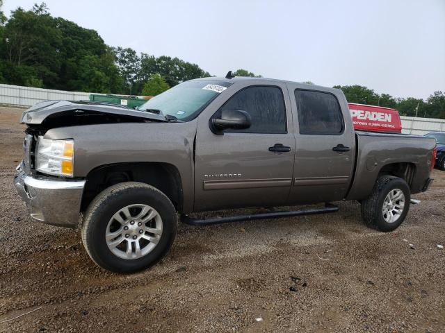CHEVROLET SILVERADO 2013 with VIN 3GCPCSE0XDG193706 - Photo from auction