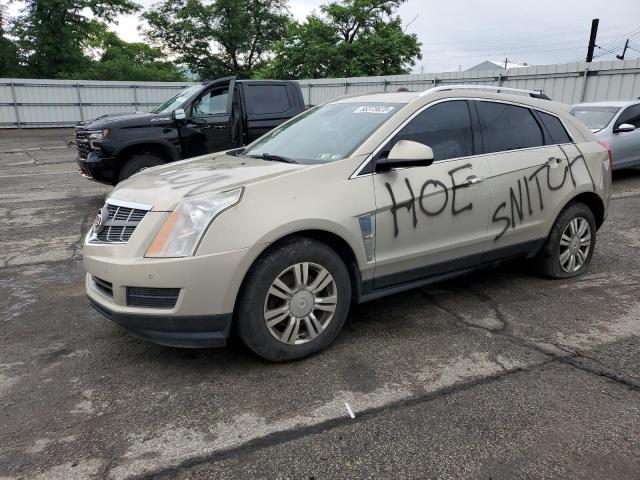CADILLAC SRX LUXURY 2011 with VIN 3GYFNDEY5BS677973 - Photo from auction