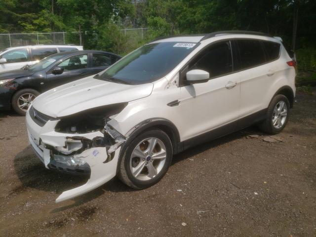 FORD ESCAPE SE 2016 with VIN 1FMCU0G90GUA70537 - Photo from auction