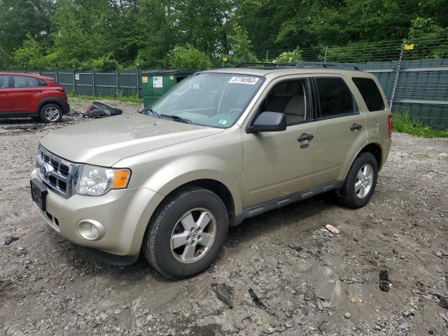 FORD ESCAPE XLT 2010 with VIN 1FMCU9D7XAKC16226 - Photo from auction