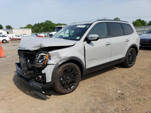 KIA TELLURIDE 2022 with VIN 5XYP3DHC2NG230801 - Photo from auction