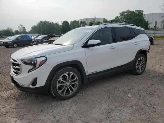 GMC TERRAIN SL 2019 with VIN 3GKALVEX5KL377626 - Photo from auction