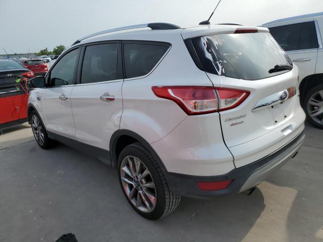 Photo 2 from auction – 2014 FORD ESCAPE SE with VIN 1FMCU0GX5EUC29726