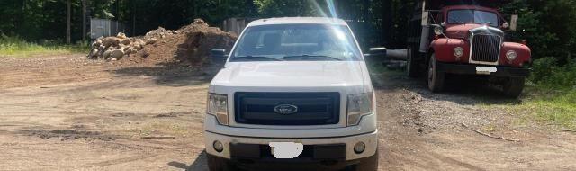 FORD F150 2013 con VIN 1FTMF1EF7DFA59116 - Foto de la subasta