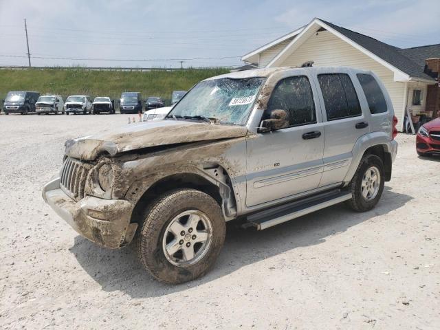 JEEP LIBERTY LI 2002 with VIN 1J4GL58K62W106861 - Photo from auction