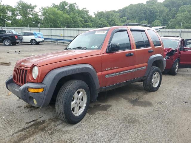 JEEP LIBERTY SP 2002 with VIN 1J4GL48K82W145333 - Photo from auction