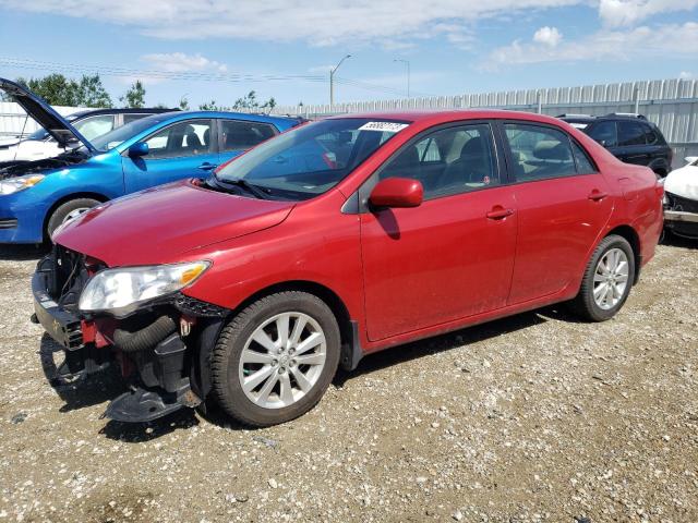 TOYOTA COROLLA BA 2010 with VIN 2T1BU4EE5AC256036 - Photo from auction