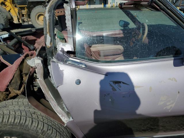 Photo 10 from auction – 1982 CHEVROLET CORVETTE with VIN 1G1AY8780C5119349