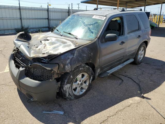 FORD ESCAPE XLT 2007 with VIN 1FMCU03157KB95853 - Photo from auction