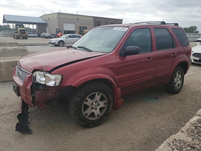 FORD ESCAPE LIM 2005 with VIN 1FMYU04175KA49701 - Photo from auction