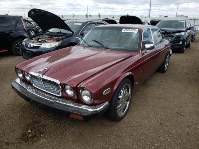 JAGUAR XJ6 1986 with VIN SAJAV1344GC455373 - Photo from auction