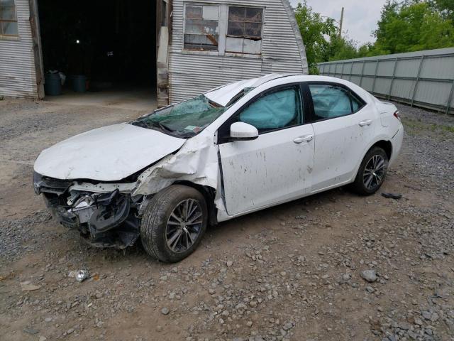 TOYOTA COROLLA L 2016 with VIN 2T1BURHEXGC509109 - Photo from auction