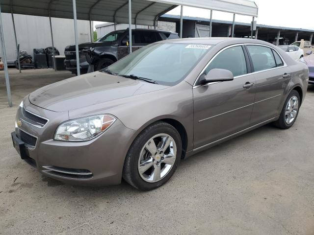 CHEVROLET MALIBU 2LT 2010 with VIN 1G1ZD5EB1AF325427 - Photo from auction