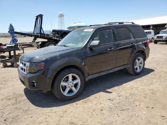 FORD ESCAPE XLT 2010 with VIN 1FMCU0DG0AKD46480 - Photo from auction