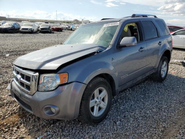 FORD ESCAPE HEV 2008 with VIN 1FMCU59H58KB03059 - Photo from auction