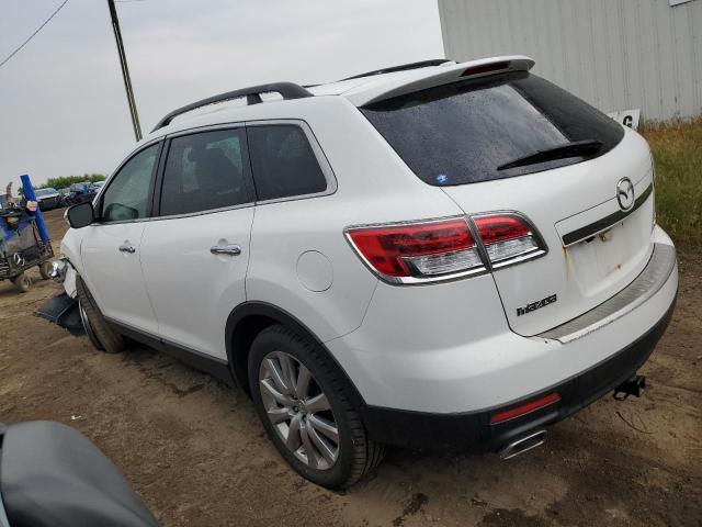 Photo 2 from auction – 2009 MAZDA CX-9 with VIN JM3TB38A190168756