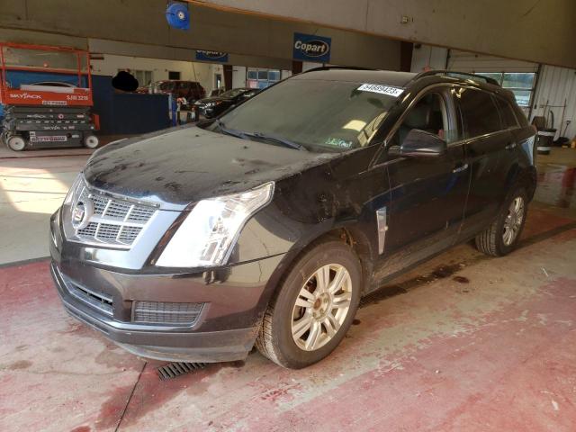 CADILLAC SRX 2011 with VIN 3GYFNGEY7BS509625 - Photo from auction