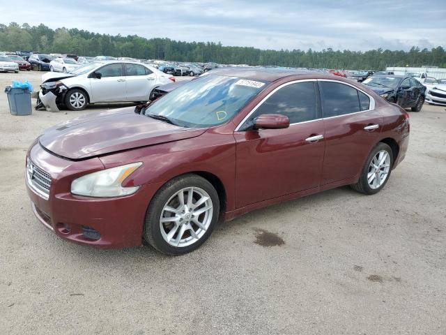 NISSAN MAXIMA S 2010 with VIN 1N4AA5AP6AC848268 - Photo from auction