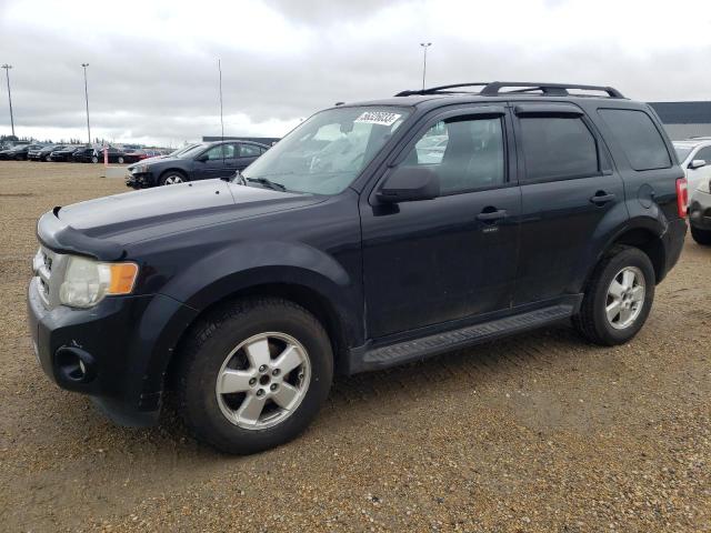 FORD ESCAPE XLT 2009 with VIN 1FMCU93G59KC44643 - Photo from auction