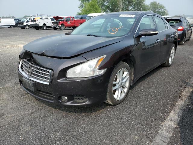 NISSAN MAXIMA S 2010 with VIN 1N4AA5AP1AC845732 - Photo from auction