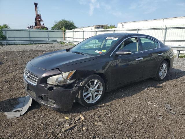 NISSAN MAXIMA S 2011 with VIN 1N4AA5AP5BC815814 - Photo from auction