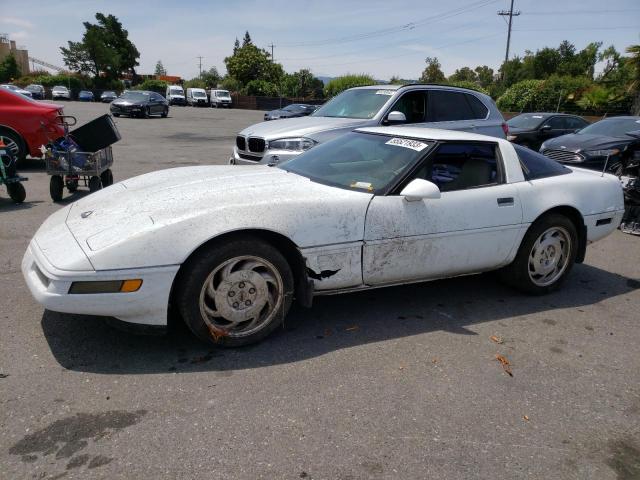 CHEVROLET CORVETTE 1996 with VIN 1G1YY22PXT5111690 - Photo from auction