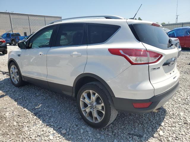 Photo 2 from auction – 2016 FORD ESCAPE TIT with VIN 1FMCU0J9XGUA43760