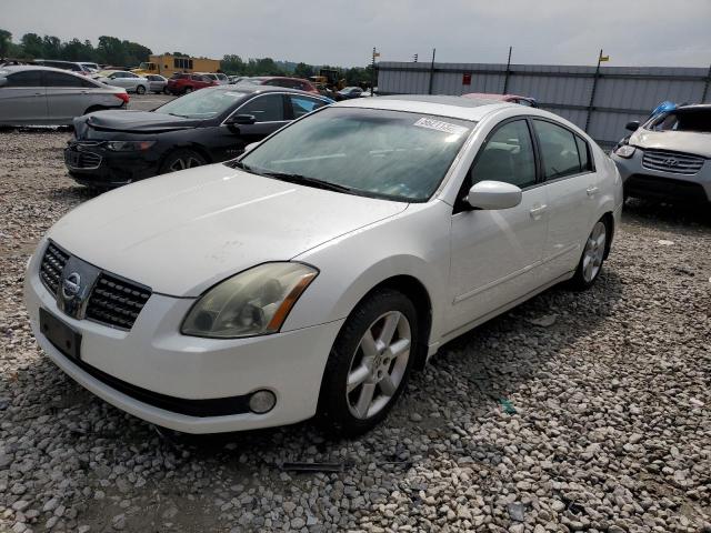 NISSAN MAXIMA SE 2004 with VIN 1N4BA41E84C912814 - Photo from auction