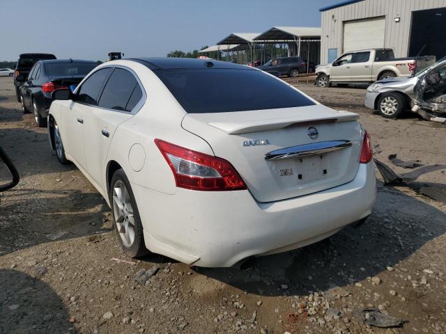 Photo 2 from auction – 2010 NISSAN MAXIMA S with VIN 1N4AA5AP4AC868986