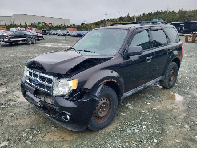 FORD ESCAPE XLT 2011 with VIN 1FMCU0DG7BKB93792 - Photo from auction