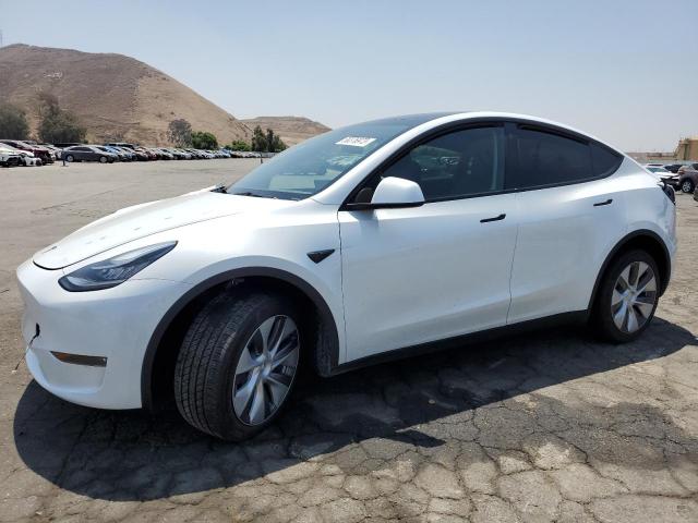 TESLA MODEL Y 2023 with VIN 7SAYGDEE2PA067687 - Photo from auction