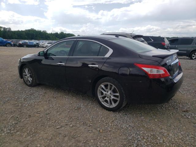 Photo 2 from auction – 2010 NISSAN MAXIMA S with VIN 1N4AA5AP9AC867431