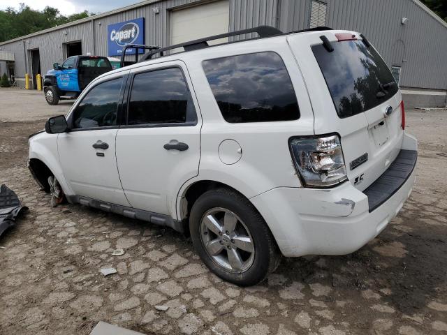Photo 2 from auction – 2011 FORD ESCAPE XLT with VIN 1FMCU9DGXBKA19199