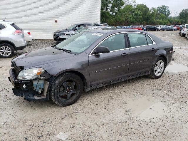 CHEVROLET MALIBU LS 2010 with VIN 1G1ZB5EB8A4146187 - Photo from auction
