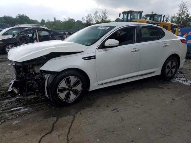KIA OPTIMA HYB 2011 with VIN KNAGM4AD1B5008302 - Photo from auction
