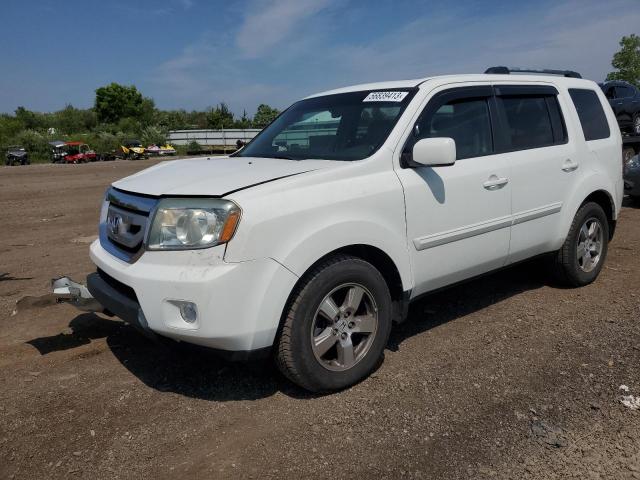 HONDA PILOT EXL 2011 with VIN 5FNYF4H55BB009953 - Photo from auction