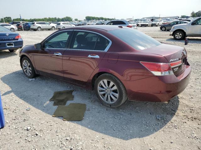 Photo 2 from auction – 2011 HONDA ACCORD EXL with VIN 1HGCP3F87BA012653