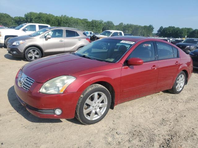 NISSAN MAXIMA SE 2004 with VIN 1N4BA41E64C858638 - Photo from auction