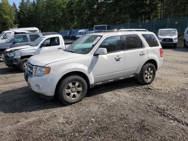 FORD ESCAPE LIM 2010 with VIN 1FMCU0EG8AKB95726 - Photo from auction