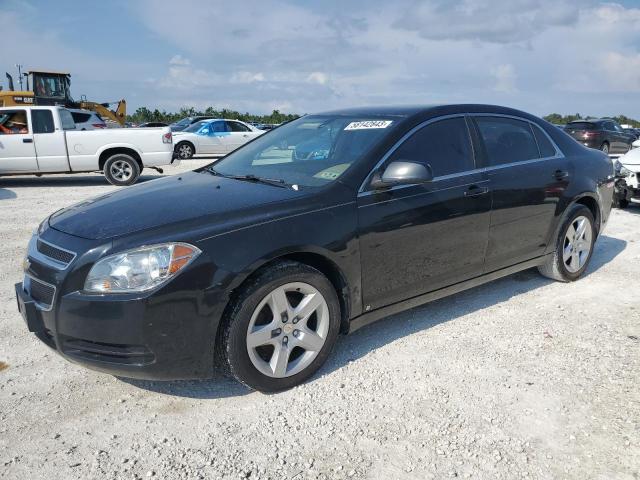 CHEVROLET MALIBU LS 2012 with VIN 1G1ZB5E06CF304144 - Photo from auction