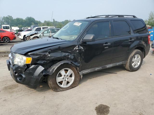 FORD ESCAPE XLT 2011 with VIN 1FMCU0D79BKB57862 - Photo from auction