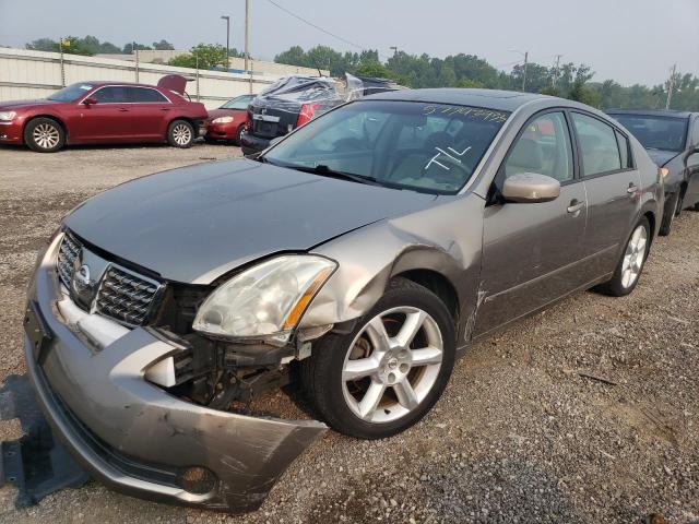 NISSAN MAXIMA SE 2005 with VIN 1N4BA41EX5C826454 - Photo from auction
