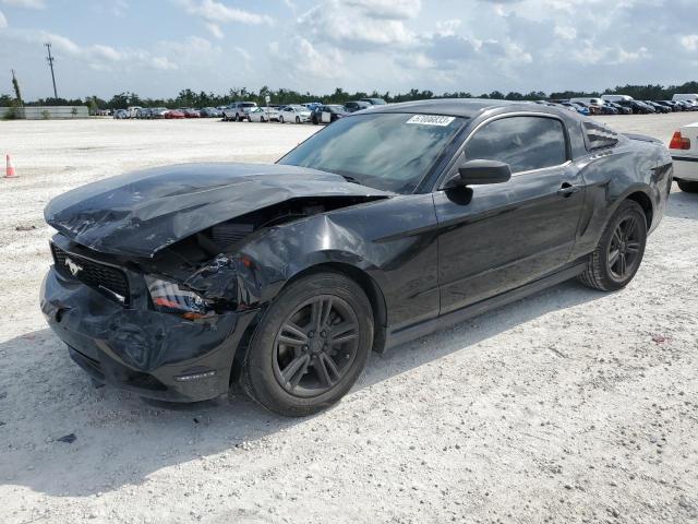 FORD MUSTANG 2011 with VIN 1ZVBP8AMXB5116684 - Photo from auction