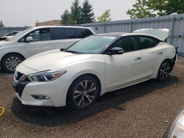 NISSAN MAXIMA 3.5 2017 with VIN 1N4AA6AP1HC432869 - Photo from auction