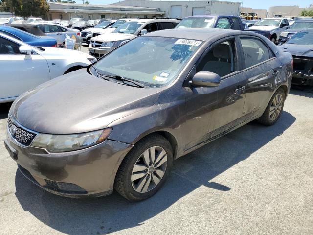 KIA FORTE EX 2013 with VIN KNAFU4A22D5692581 - Photo from auction