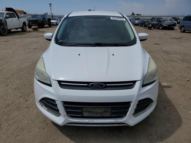 Photo 5 from auction – 2014 FORD ESCAPE SE with VIN 1FMCU0GX4EUC01707
