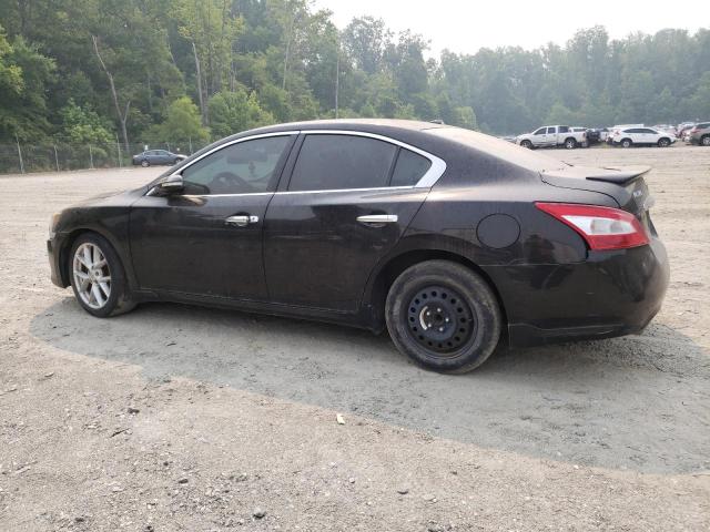 Photo 2 from auction – 2009 NISSAN MAXIMA S with VIN 1N4AA51E39C846990